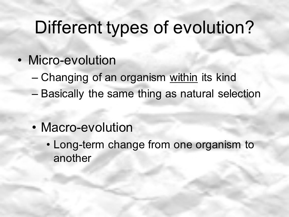 Different types of evolution.