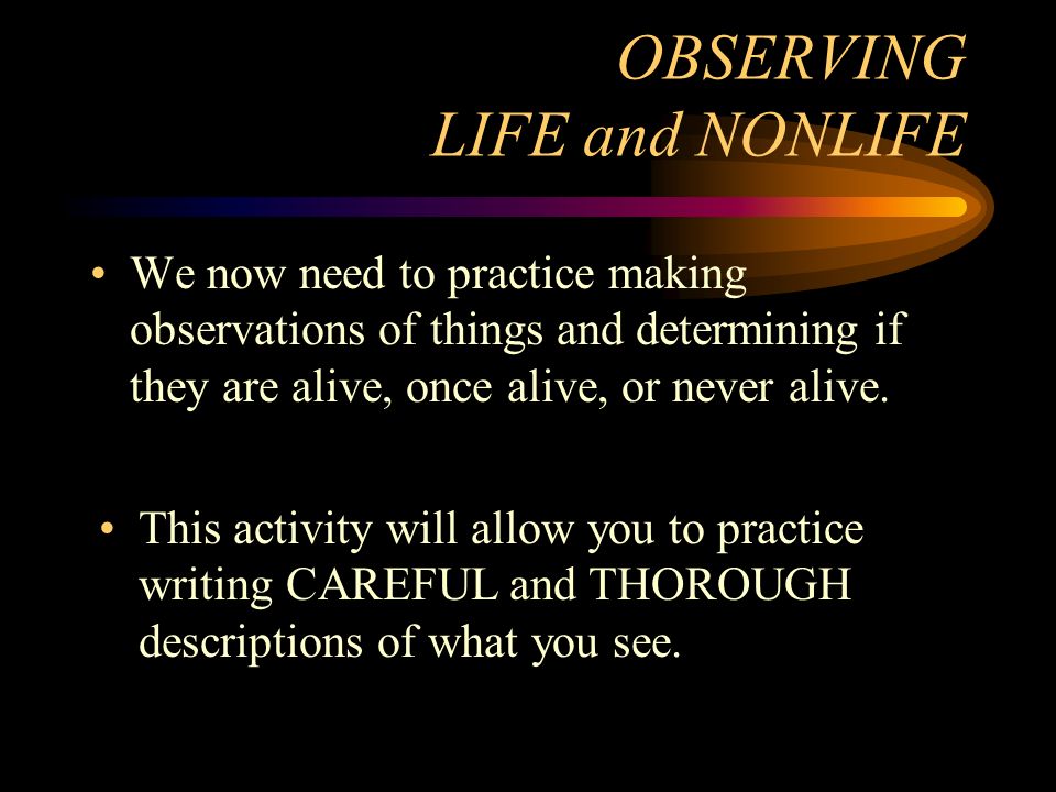 Big Questions What Is Life How Can We Tell Things That Are Alive From Things That Were Alive Or Were Never Alive Ppt Download