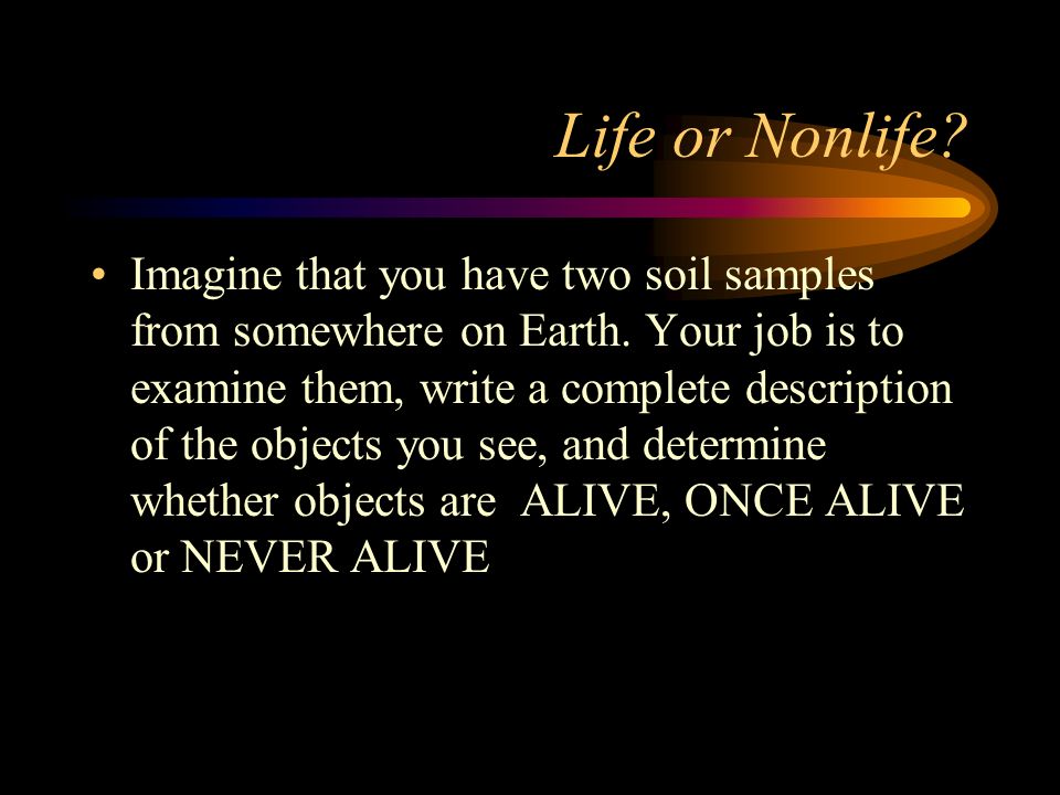 Big Questions What Is Life How Can We Tell Things That Are Alive From Things That Were Alive Or Were Never Alive Ppt Download