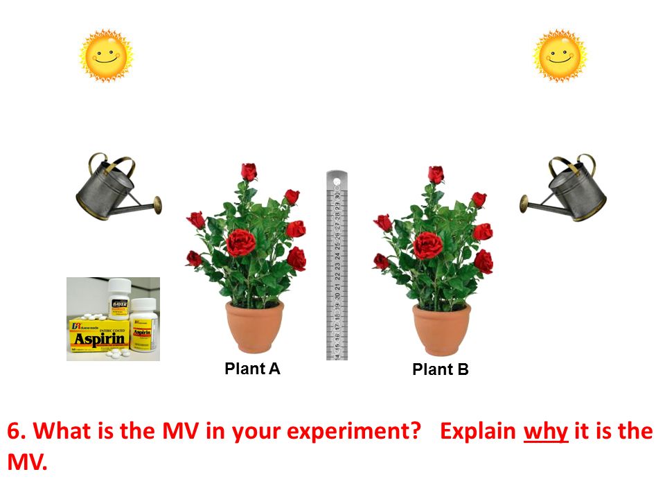 6. What is the MV in your experiment Explain why it is the MV. Plant A Plant B