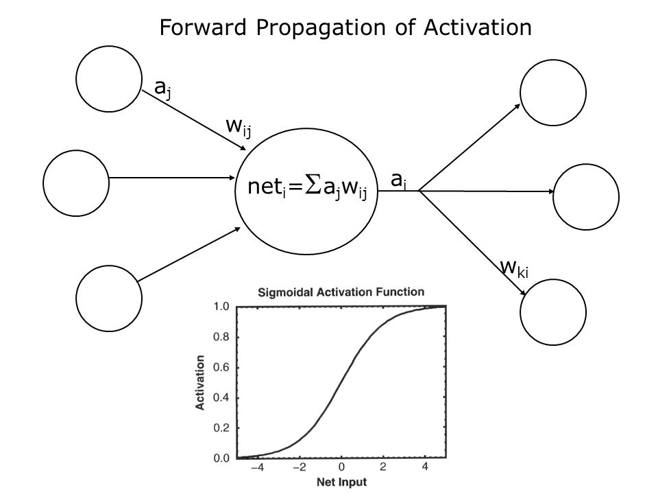 ajaj aiai w ij net i =  a j w ij w ki Forward Propagation of Activation