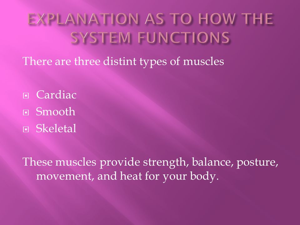 There are three distint types of muscles  Cardiac  Smooth  Skeletal These muscles provide strength, balance, posture, movement, and heat for your body.