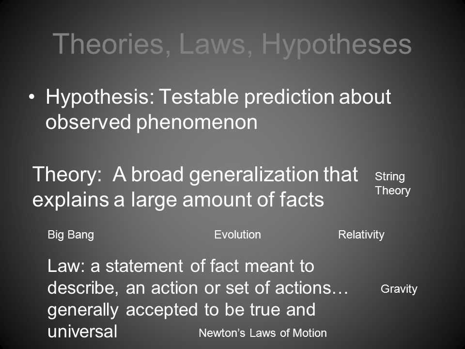 5 Branches Of Chemistry & Theories/Laws. The Feces Angle: 5 Chemists ...