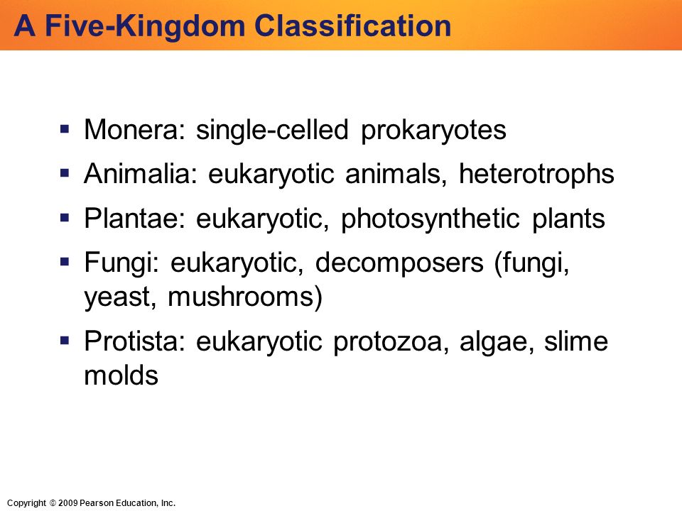 Copyright © 2009 Pearson Education, Inc. Human Biology Concepts and ...