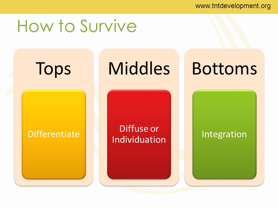 How to Survive Tops Differentiate Middles Diffuse or Individuation Bottoms Integration