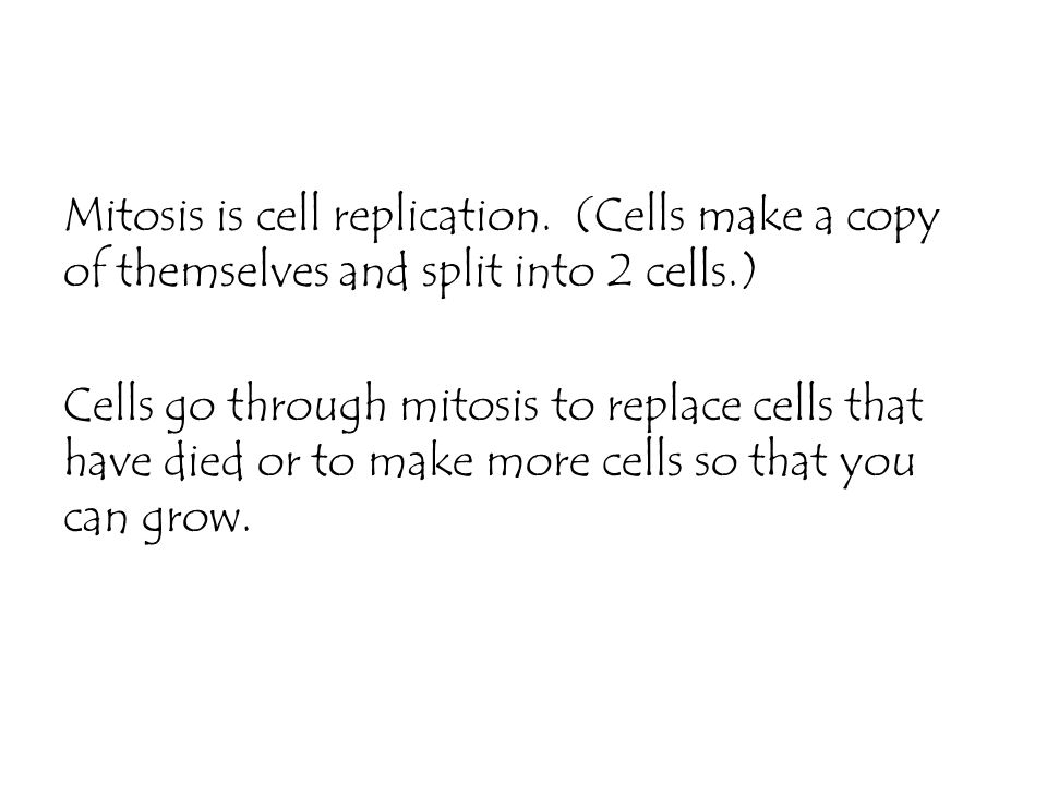 Mitosis is cell replication.