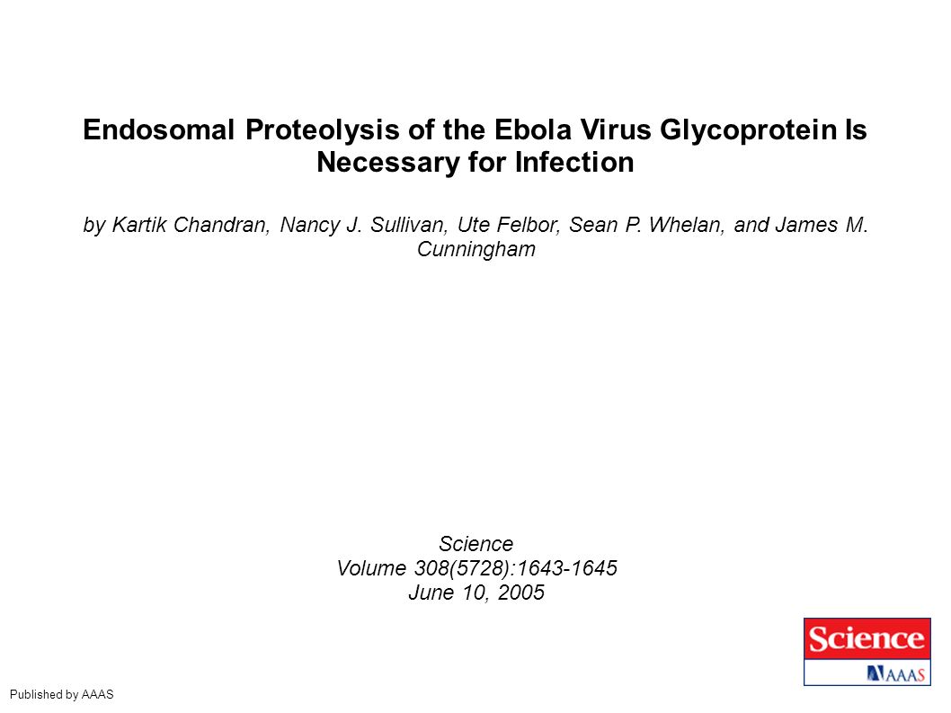 Endosomal Proteolysis of the Ebola Virus Glycoprotein Is Necessary for Infection by Kartik Chandran, Nancy J.