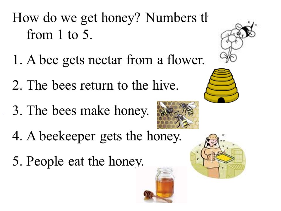 Honey is перевод