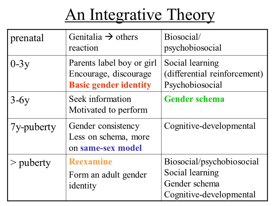 gender labeling theory