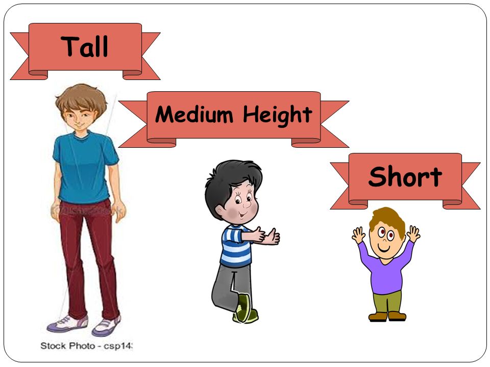 Far tall. Tall картинка. Short Tall для детей. Medium height. Картинки Tall short.