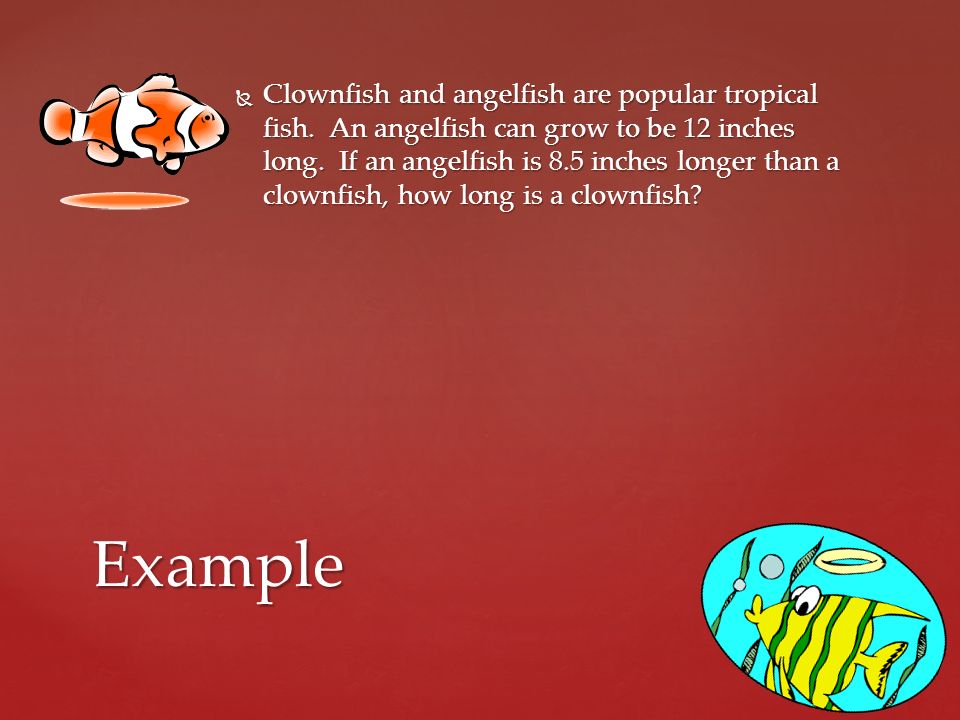  Clownfish and angelfish are popular tropical fish.