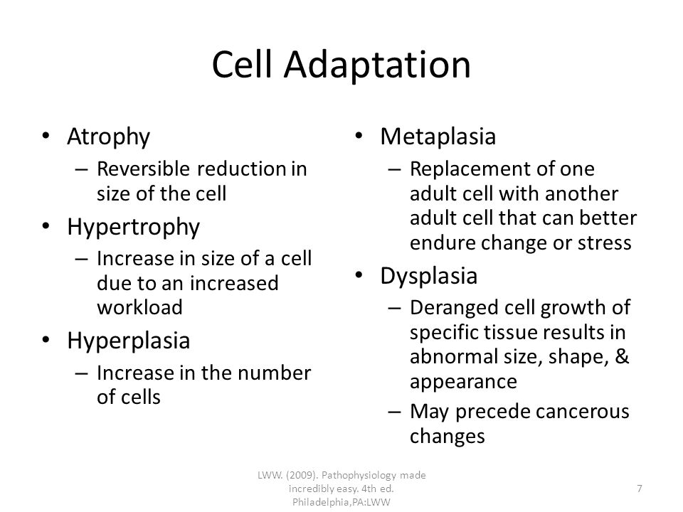 Cell Adaptation Atrophy – Reversible reduction in size of the cell Hypertrophy – Increase in size of a cell due to an increased workload Hyperplasia – Increase in the number of cells Metaplasia – Replacement of one adult cell with another adult cell that can better endure change or stress Dysplasia – Deranged cell growth of specific tissue results in abnormal size, shape, & appearance – May precede cancerous changes LWW.