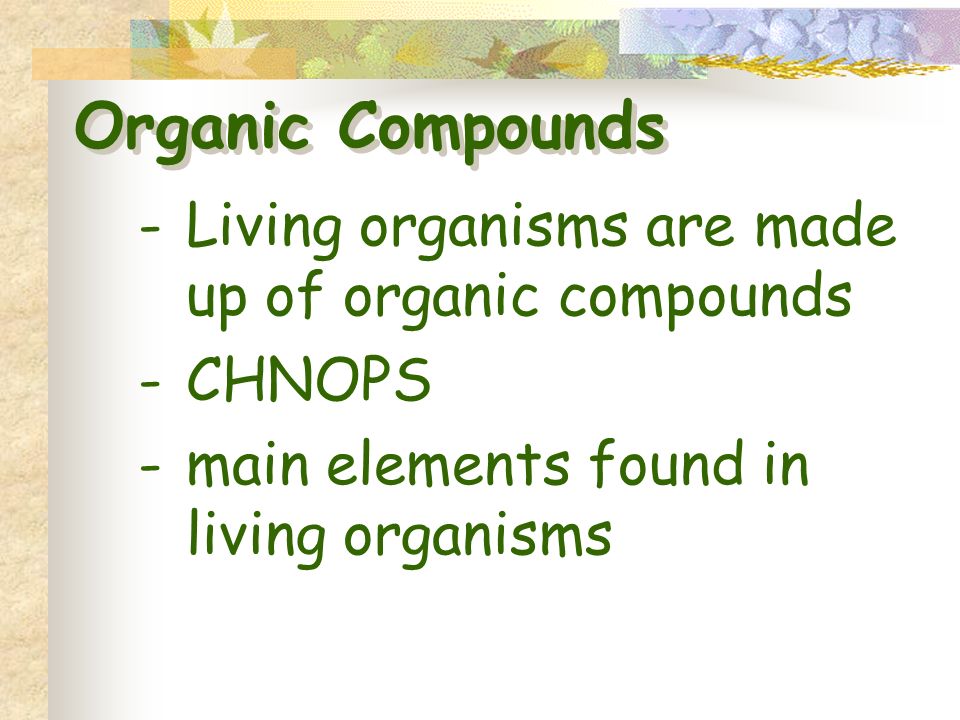 Organic Compounds -Living organisms are made up of organic compounds -CHNOPS -main elements found in living organisms
