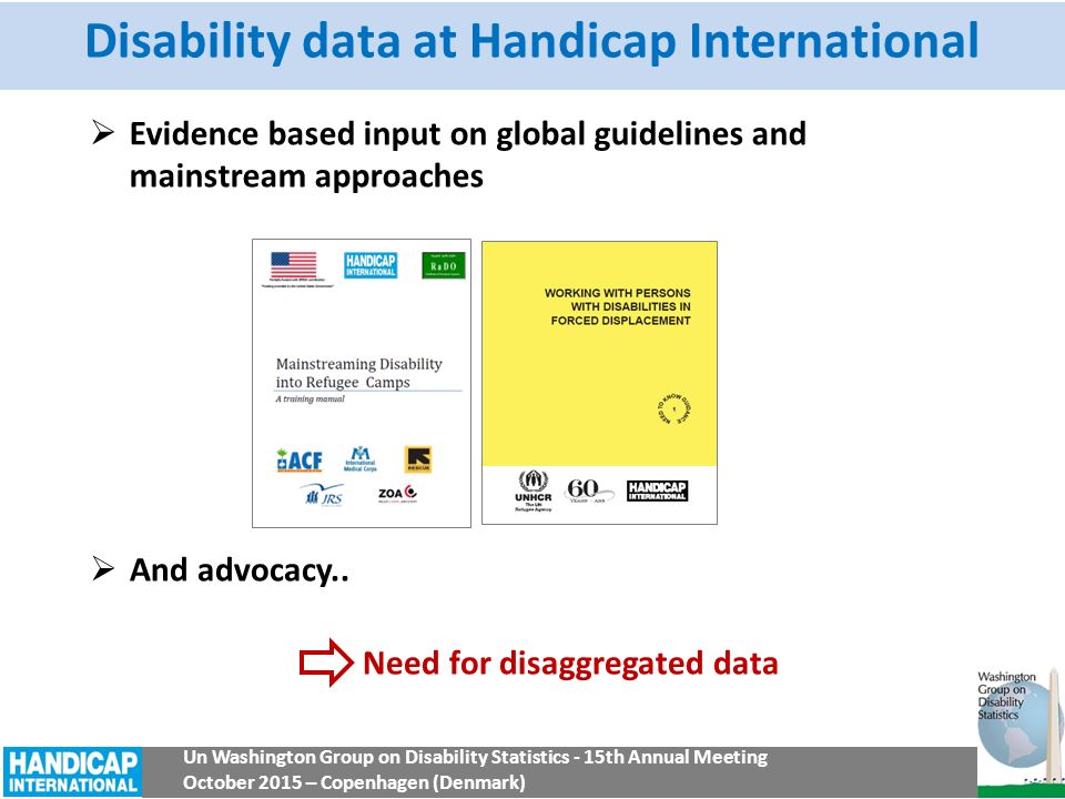 Training Manual on Disability Statistics