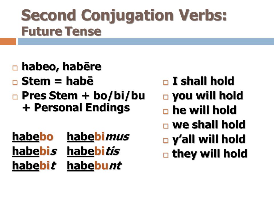 shall conjugation