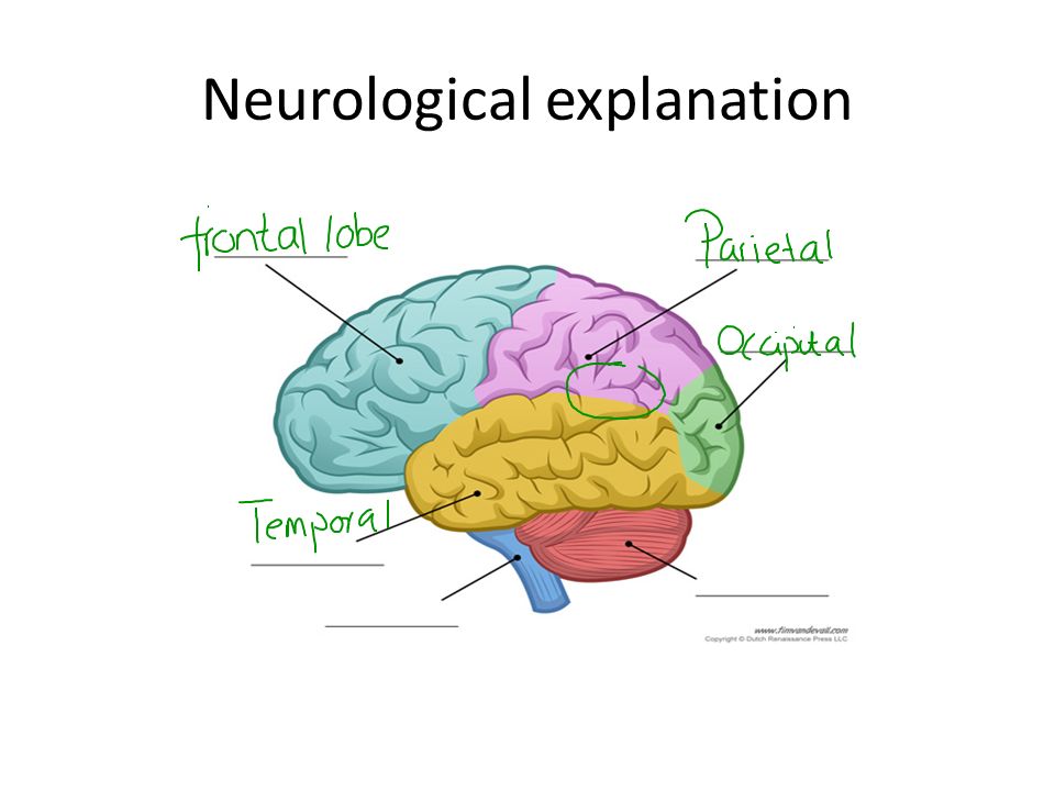 Neurological explanation