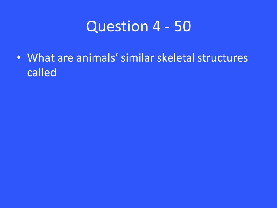 Question What are animals’ similar skeletal structures called