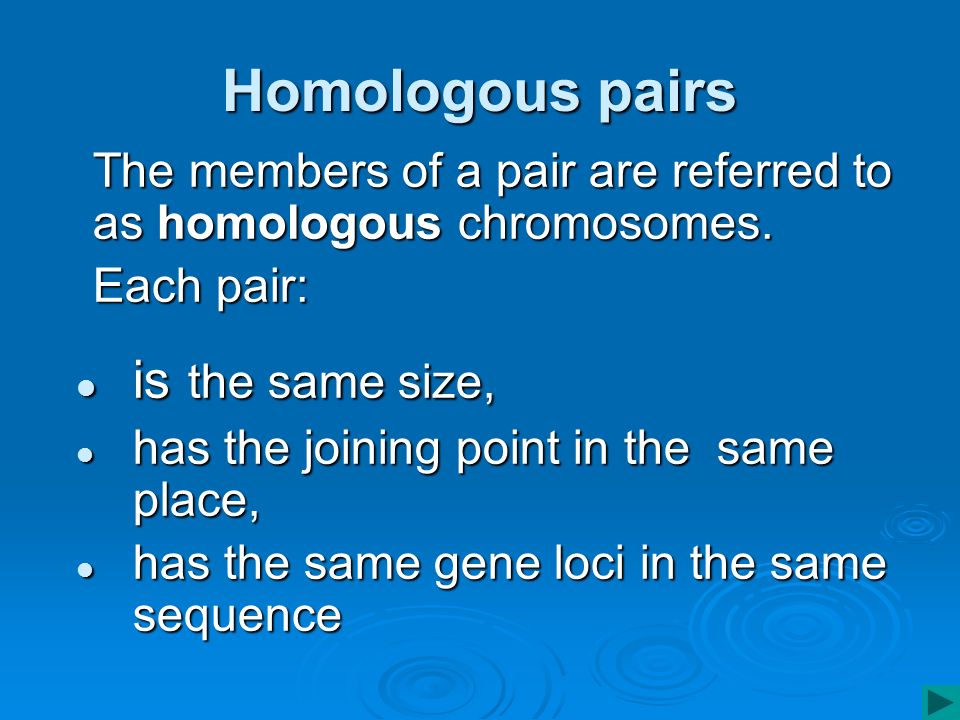 Homologous pairs The members of a pair are referred to as homologous chromosomes.