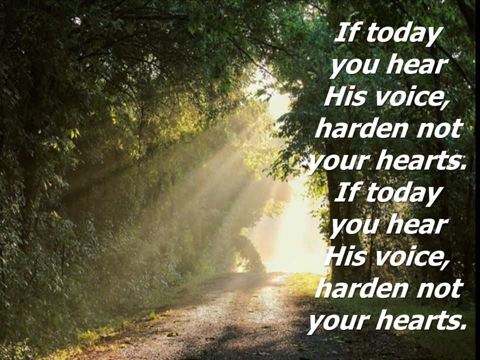 Psalm 95 If Today You Hear His Voice Harden Not Your Hearts If Today You Hear His Voice Harden Not Your Hearts Ppt Download
