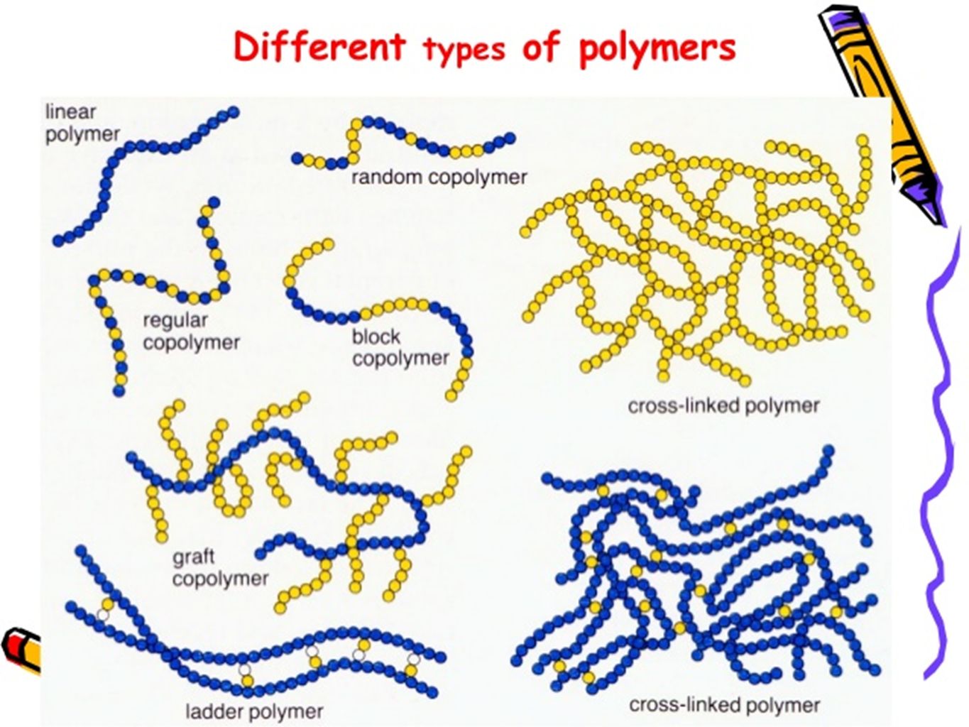 polymers types