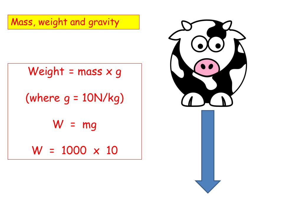 Physics Mass And Weight Learning Objectives 1 3 Mass And Weight Core Show Familiarity With The Idea Of The Mass Of A Body State That Weight Is A Gravitational Ppt Download