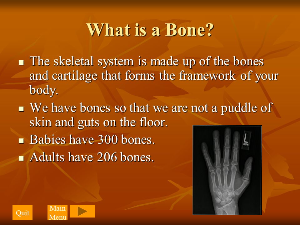 What is a Bone.