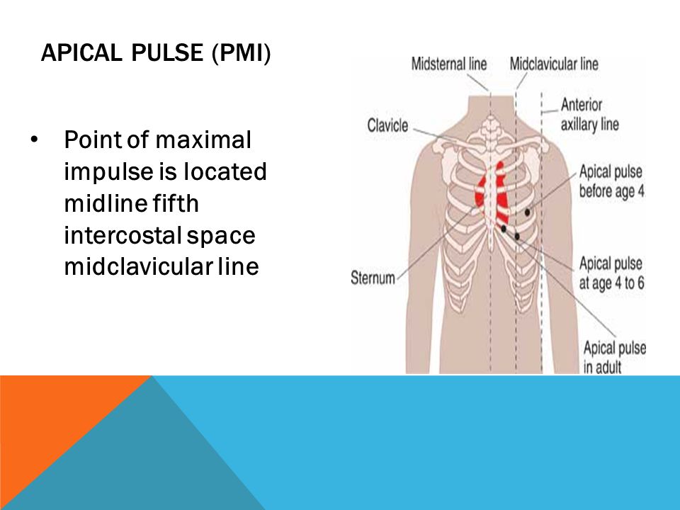 PULSE Stephanie Oliver, DNP, RN. It is an indicator of circulatory status  The normal pulse varies according to age  Infants  Preschoolers ppt  download