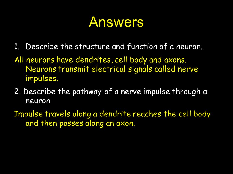 Answers 1.Describe the structure and function of a neuron.