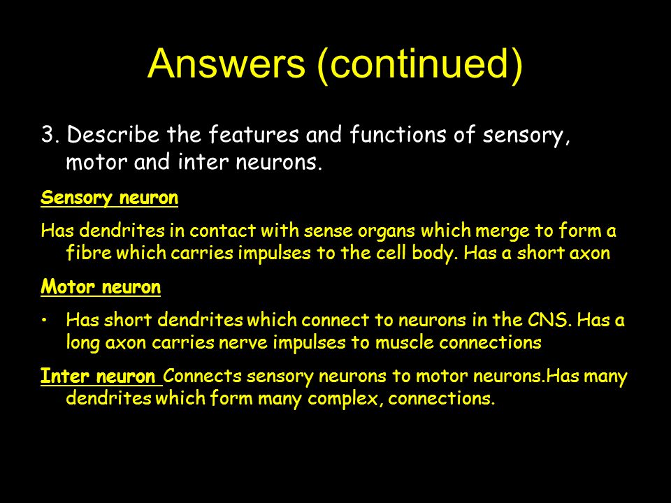 Answers (continued) 3. Describe the features and functions of sensory, motor and inter neurons.