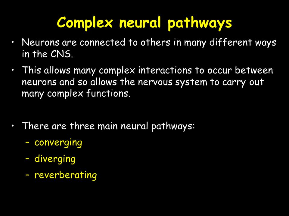 Neurons are connected to others in many different ways in the CNS.