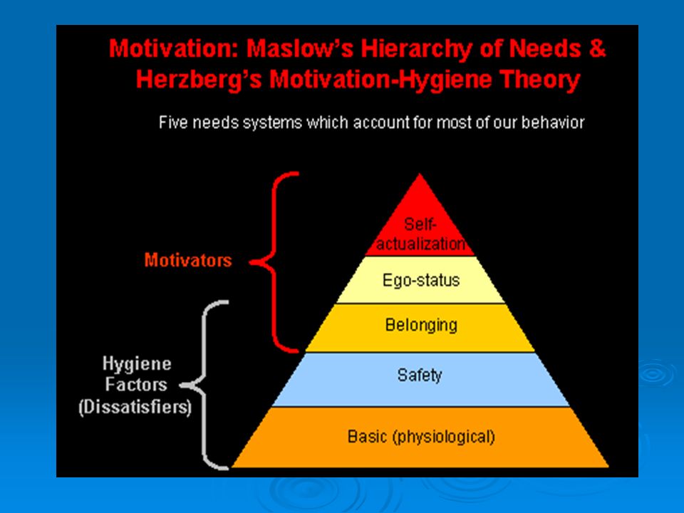 Мотивация маслоу. Maslow Theory of Motivation. Теория мотивации Маслоу кратко. Теории мотивации Зигмунд Маслоу. Herzberg Motivation processes.