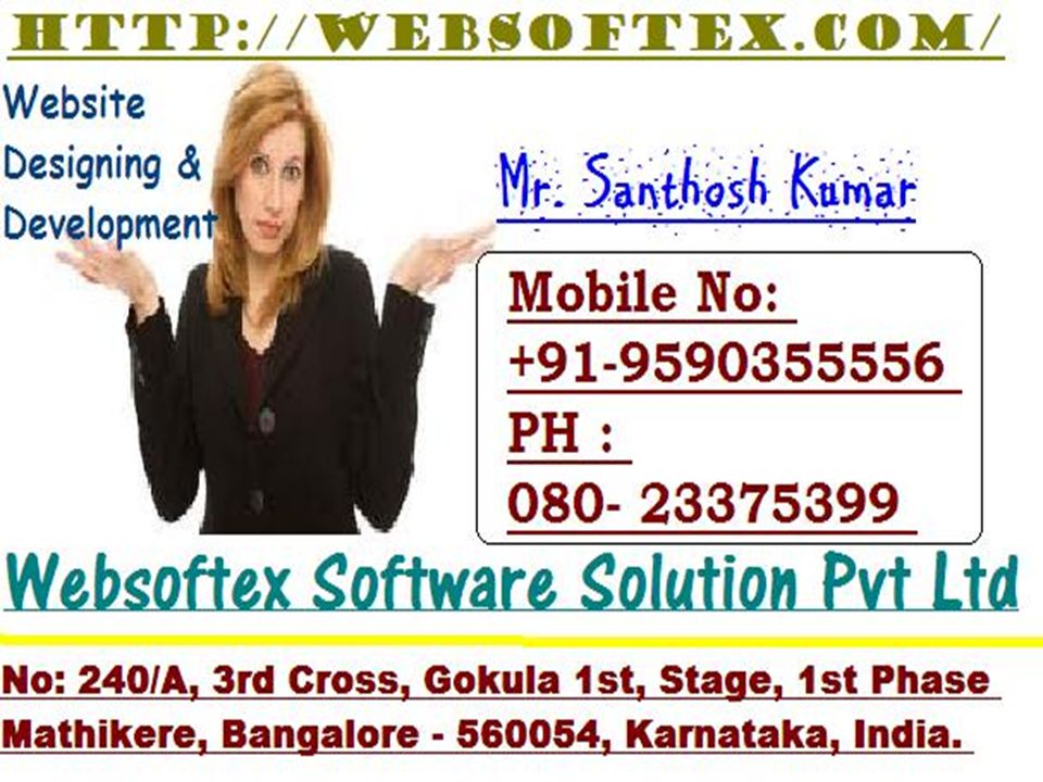 Websoftex Software Solution Pvt Ltd Mr.