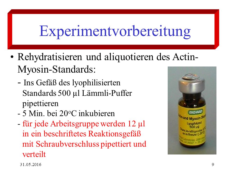 SDS-PAGE Experimentelle Vorgehensweise. - ppt download