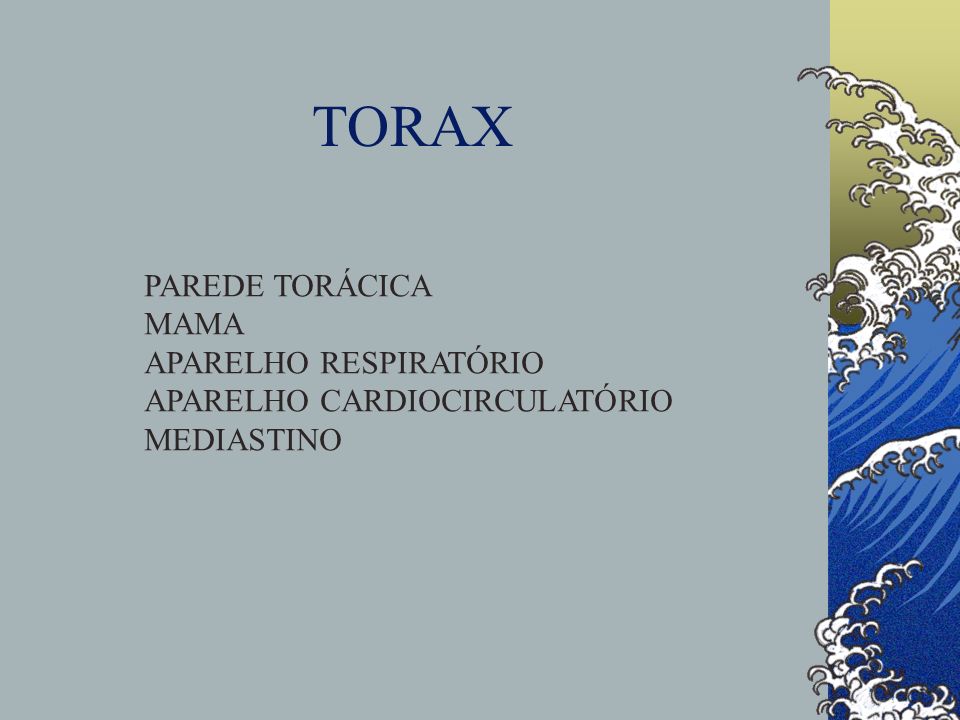 TORAX PAREDE TORÁCICA MAMA APARELHO RESPIRATÓRIO APARELHO CARDIOCIRCULATÓRIO MEDIASTINO