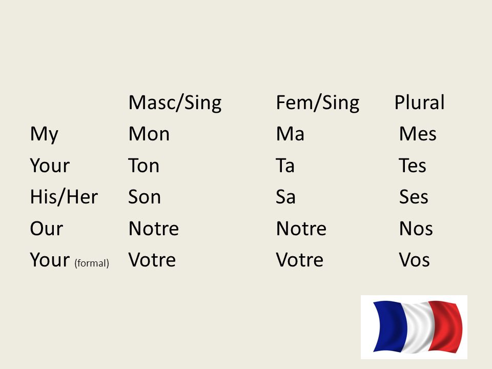 Possessive adjectives. Masc/SingFem/Sing Plural MyMonMa Mes. - ppt download