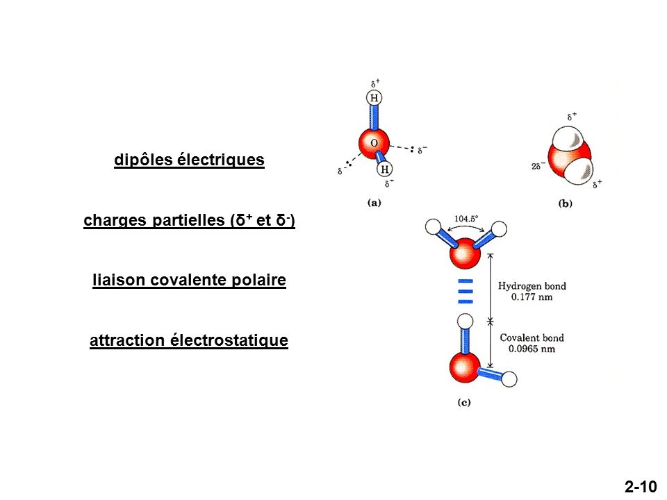 2-10 dipôles électriques charges partielles (δ + et δ - ) liaison covalente polaire attraction électrostatique