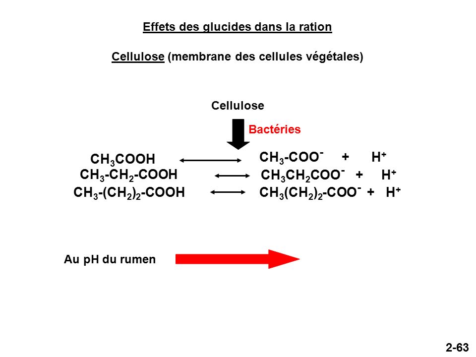 2-63 Effets des glucides dans la ration Cellulose (membrane des cellules végétales) CH 3 COOH CH 3 -COO - + H + CH 3 -CH 2 -COOH CH 3 CH 2 COO - + H + CH 3 -(CH 2 ) 2 -COOHCH 3 (CH 2 ) 2 -COO - + H + Cellulose Bactéries Au pH du rumen