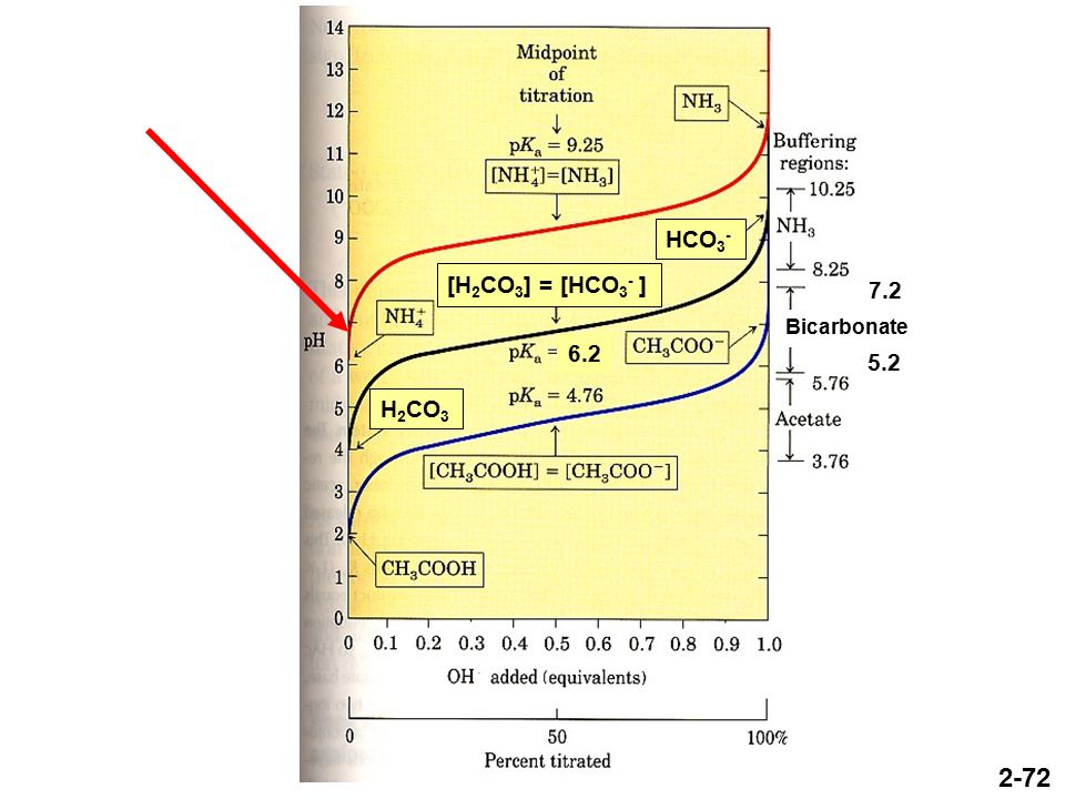 H 2 CO 3 HCO 3 - [H 2 CO 3 ] = [HCO 3 - ] Bicarbonate