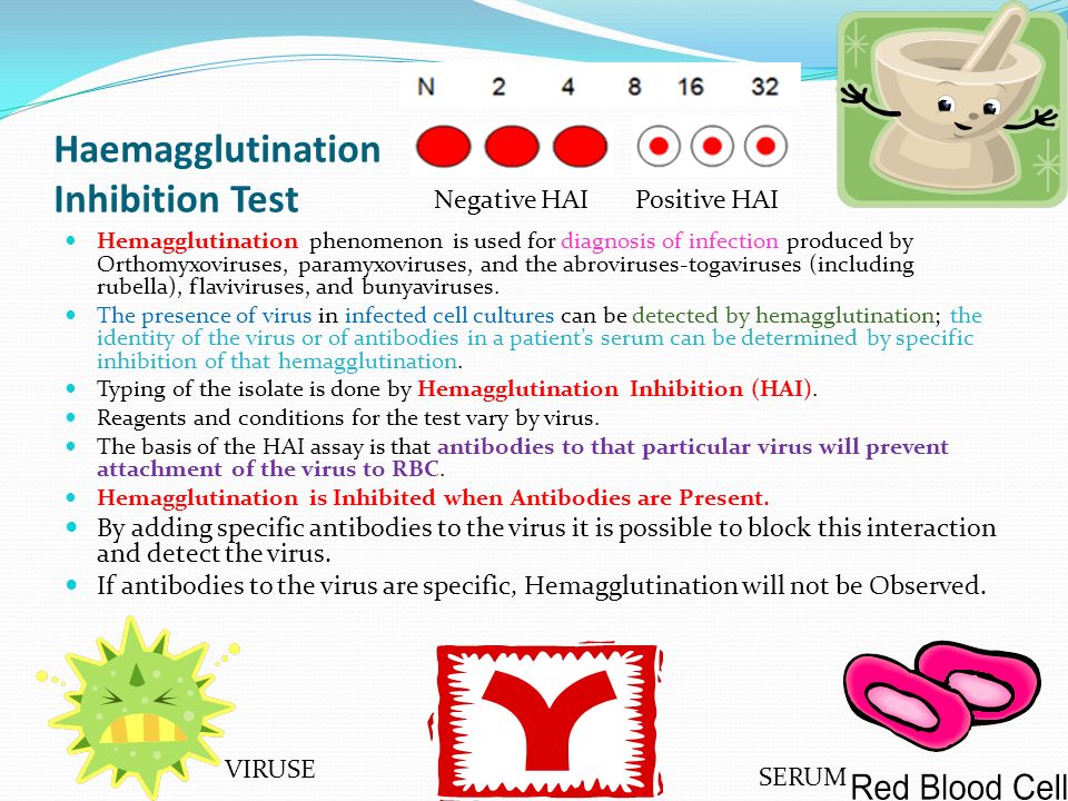 Haemagglutination Inhibition Test Hemagglutination phenomenon is used for diagnosis of infection produced by Orthomyxoviruses, paramyxoviruses, and the abroviruses-togaviruses (including rubella), flaviviruses, and bunyaviruses.