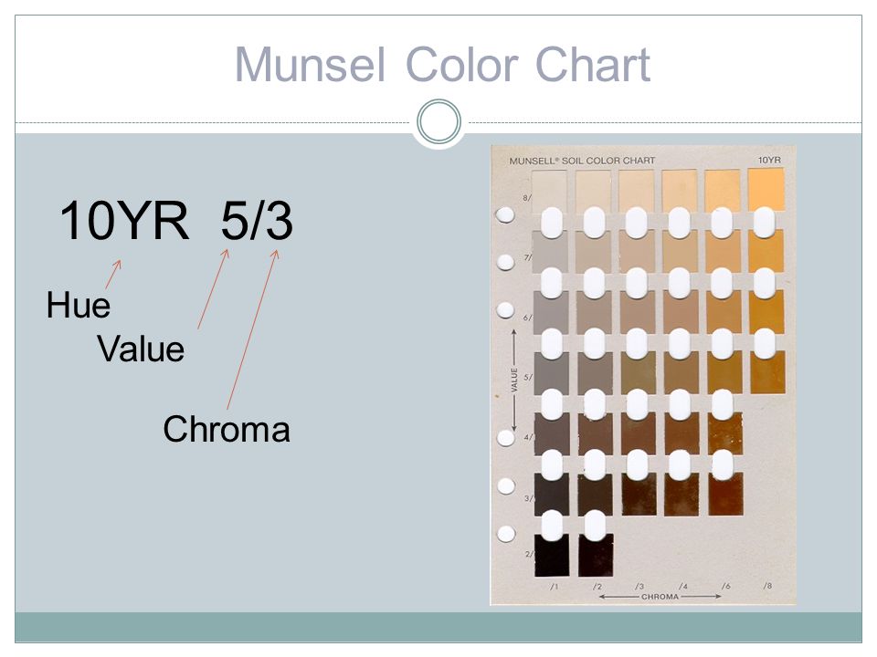 Munsell 10yr Color Chart