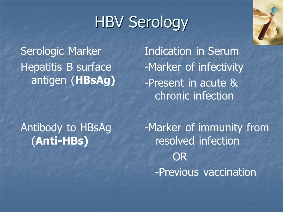 Serologic Marker Hepatitis B surface antigen (HBsAg) Antibody to HBsAg (Anti-HBs) Indication in Serum -Marker of infectivity -Present in acute & chronic infection -Marker of immunity from resolved infection OR -Previous vaccination