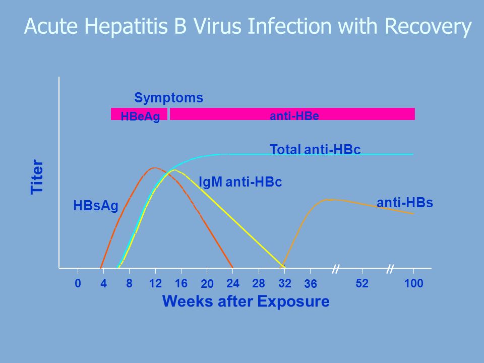 Acute Hepatitis B Virus Infection with Recovery