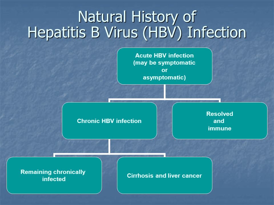 Natural History of Hepatitis B Virus (HBV) Infection