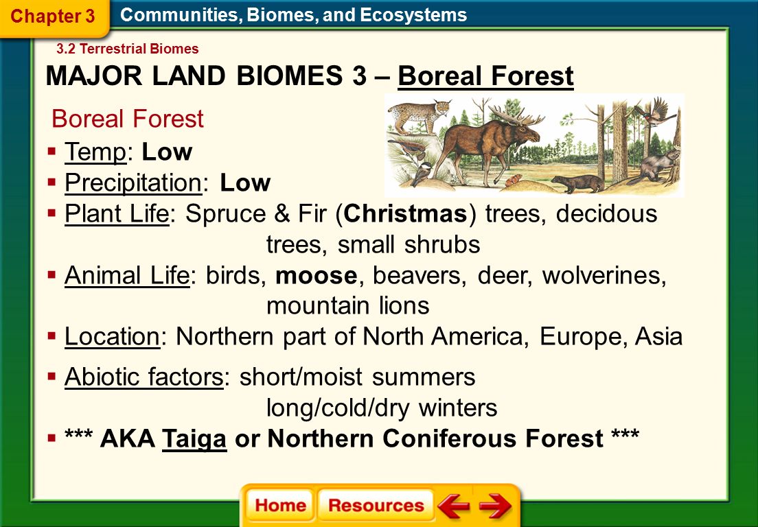 Communities, Biomes, and Ecosystems Boreal Forest  Abiotic factors: short/moist summers long/cold/dry winters  *** AKA Taiga or Northern Coniferous Forest ***  Temp: Low  Precipitation: Low  Plant Life: Spruce & Fir (Christmas) trees, decidous trees, small shrubs  Animal Life: birds, moose, beavers, deer, wolverines, mountain lions  Location: Northern part of North America, Europe, Asia 3.2 Terrestrial Biomes Chapter 3 MAJOR LAND BIOMES 3 – Boreal Forest