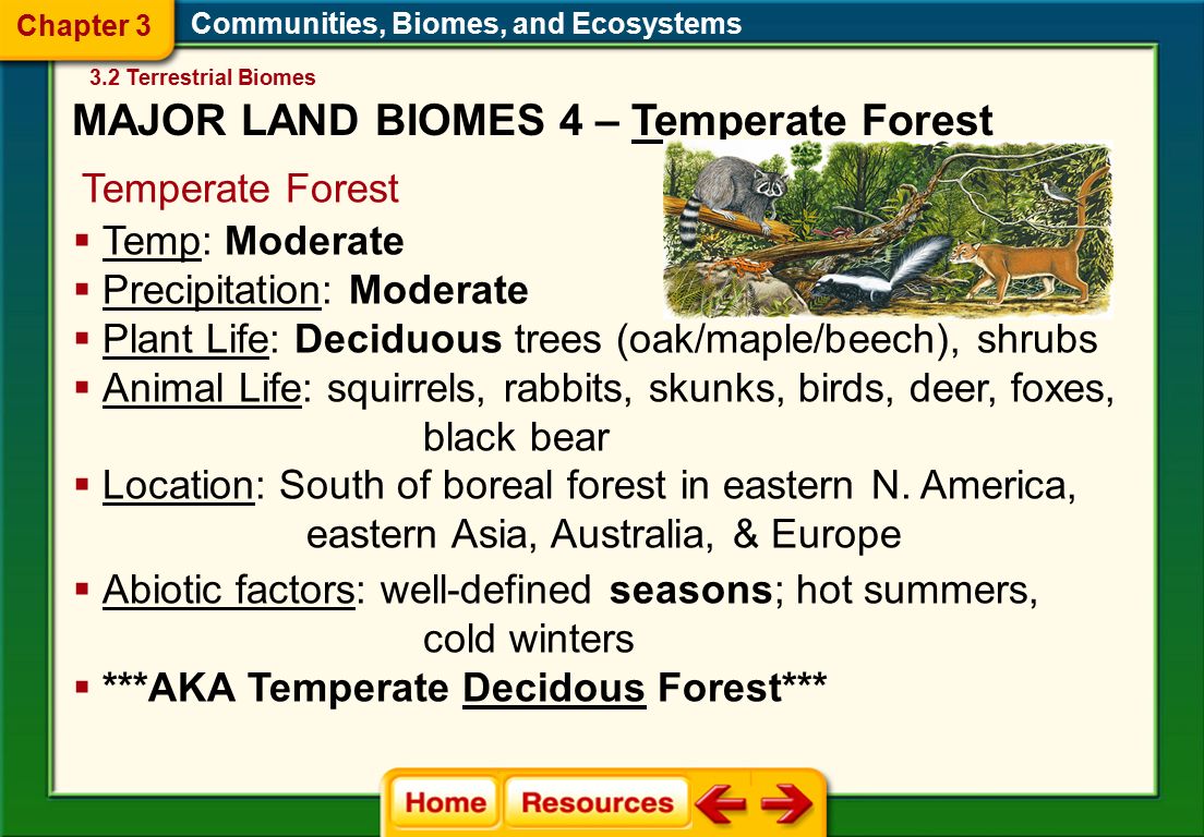 Communities, Biomes, and Ecosystems Temperate Forest  Abiotic factors: well-defined seasons; hot summers, cold winters  ***AKA Temperate Decidous Forest***  Temp: Moderate  Precipitation: Moderate  Plant Life: Deciduous trees (oak/maple/beech), shrubs  Animal Life: squirrels, rabbits, skunks, birds, deer, foxes, black bear  Location: South of boreal forest in eastern N.