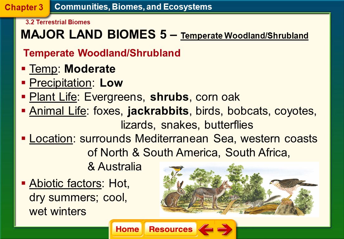 Communities, Biomes, and Ecosystems Temperate Woodland/Shrubland  Abiotic factors: Hot, dry summers; cool, wet winters  Temp: Moderate  Precipitation: Low  Plant Life: Evergreens, shrubs, corn oak  Animal Life: foxes, jackrabbits, birds, bobcats, coyotes, lizards, snakes, butterflies  Location: surrounds Mediterranean Sea, western coasts of North & South America, South Africa, & Australia 3.2 Terrestrial Biomes Chapter 3 MAJOR LAND BIOMES 5 – Temperate Woodland/Shrubland