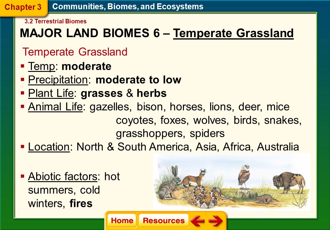 Communities, Biomes, and Ecosystems Temperate Grassland  Abiotic factors: hot summers, cold winters, fires  Temp: moderate  Precipitation: moderate to low  Plant Life: grasses & herbs  Animal Life: gazelles, bison, horses, lions, deer, mice coyotes, foxes, wolves, birds, snakes, grasshoppers, spiders  Location: North & South America, Asia, Africa, Australia 3.2 Terrestrial Biomes Chapter 3 MAJOR LAND BIOMES 6 – Temperate Grassland