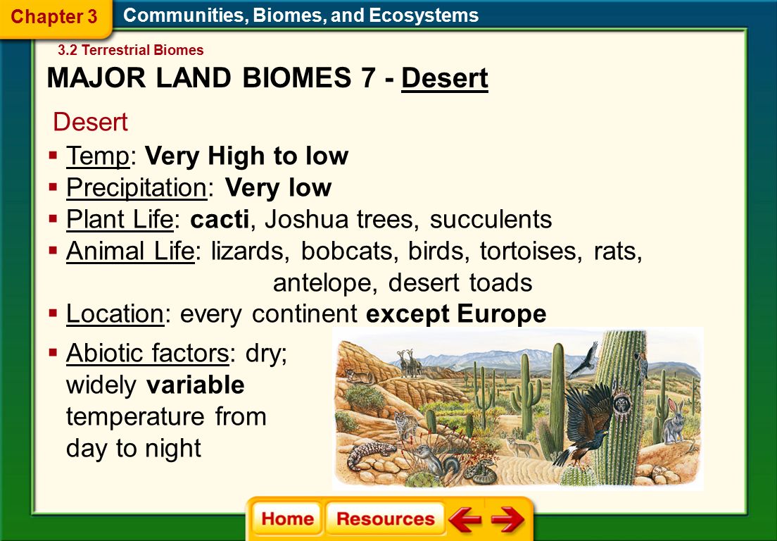 Communities, Biomes, and Ecosystems Desert  Abiotic factors: dry; widely variable temperature from day to night  Temp: Very High to low  Precipitation: Very low  Plant Life: cacti, Joshua trees, succulents  Animal Life: lizards, bobcats, birds, tortoises, rats, antelope, desert toads  Location: every continent except Europe 3.2 Terrestrial Biomes Chapter 3 MAJOR LAND BIOMES 7 - Desert