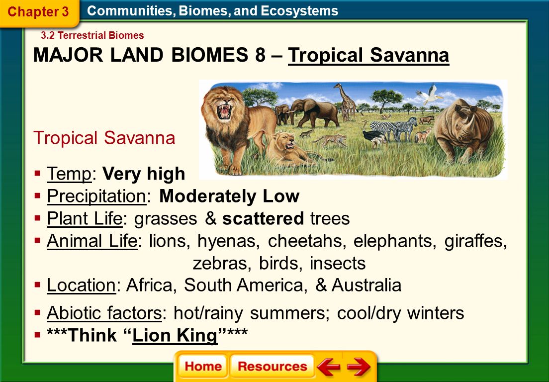 Communities, Biomes, and Ecosystems Tropical Savanna  Abiotic factors: hot/rainy summers; cool/dry winters  ***Think Lion King ***  Temp: Very high  Precipitation: Moderately Low  Plant Life: grasses & scattered trees  Animal Life: lions, hyenas, cheetahs, elephants, giraffes, zebras, birds, insects  Location: Africa, South America, & Australia 3.2 Terrestrial Biomes Chapter 3 MAJOR LAND BIOMES 8 – Tropical Savanna