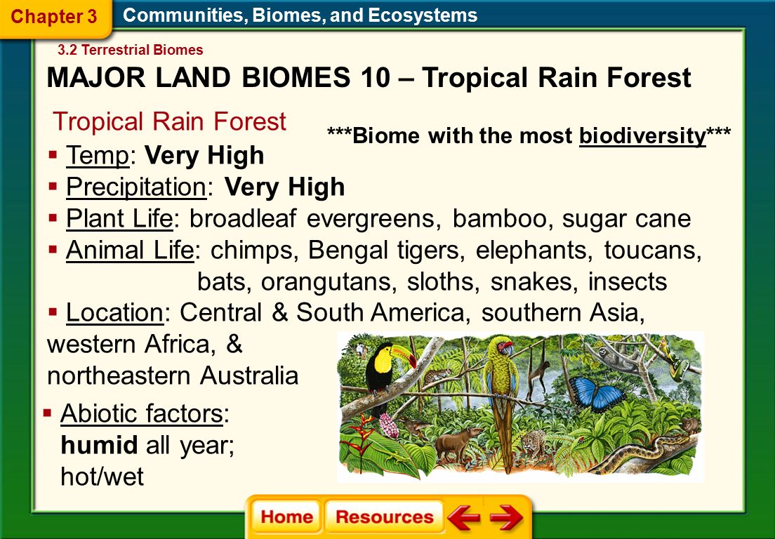 Communities, Biomes, and Ecosystems Tropical Rain Forest  Abiotic factors: humid all year; hot/wet  Temp: Very High  Precipitation: Very High  Plant Life: broadleaf evergreens, bamboo, sugar cane  Animal Life: chimps, Bengal tigers, elephants, toucans, bats, orangutans, sloths, snakes, insects  Location: Central & South America, southern Asia, western Africa, & northeastern Australia 3.2 Terrestrial Biomes Chapter 3 MAJOR LAND BIOMES 10 – Tropical Rain Forest ***Biome with the most biodiversity***